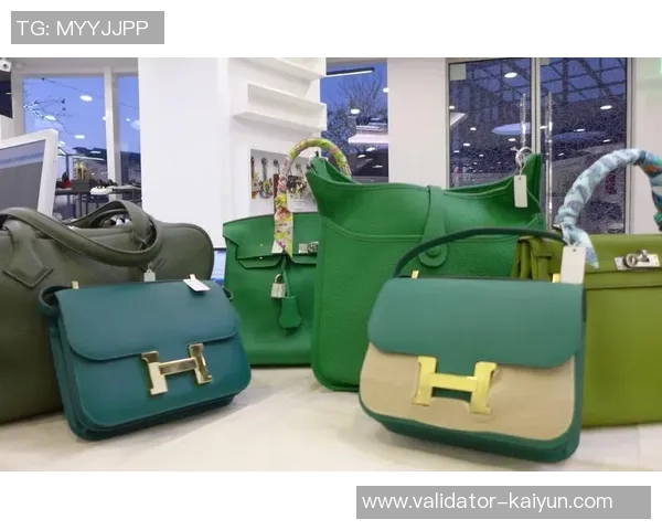 探索自由足球官网爱马仕的独特魅力与无限可能性